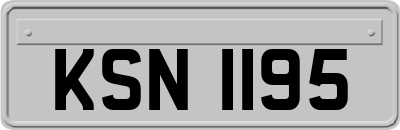 KSN1195
