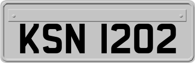 KSN1202