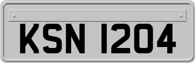 KSN1204