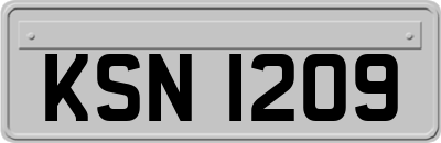 KSN1209