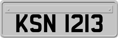 KSN1213