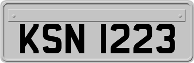 KSN1223