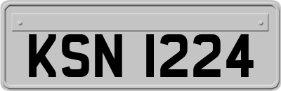 KSN1224