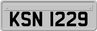 KSN1229