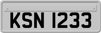 KSN1233