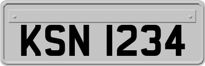 KSN1234