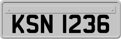 KSN1236