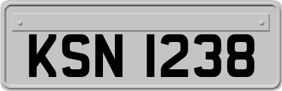 KSN1238