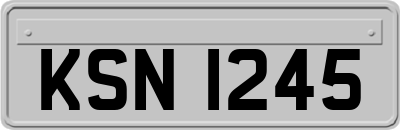 KSN1245