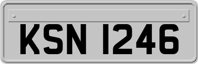 KSN1246