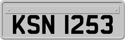 KSN1253