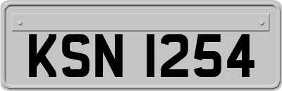 KSN1254