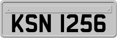 KSN1256