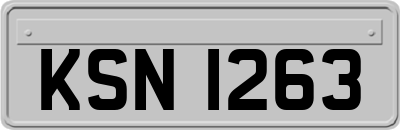 KSN1263