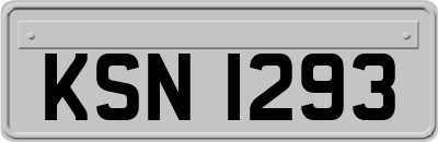 KSN1293