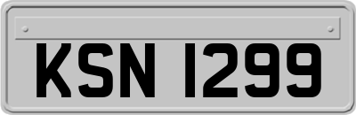 KSN1299