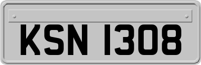 KSN1308