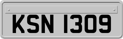 KSN1309