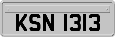 KSN1313