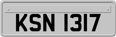 KSN1317