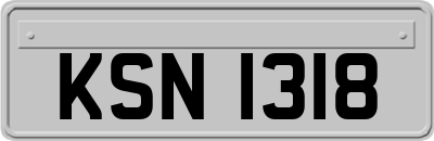 KSN1318