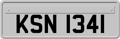 KSN1341