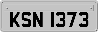 KSN1373