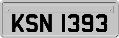 KSN1393