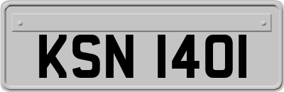 KSN1401