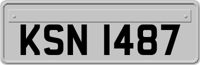 KSN1487