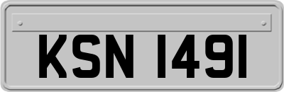 KSN1491