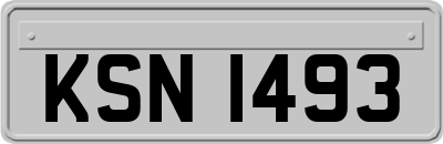 KSN1493