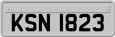 KSN1823
