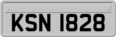 KSN1828