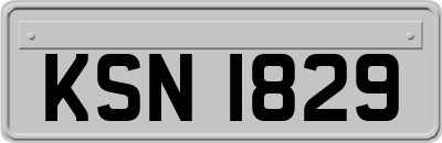 KSN1829