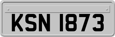 KSN1873