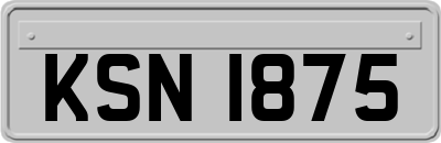 KSN1875