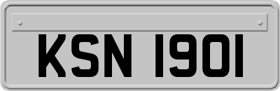 KSN1901