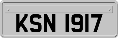 KSN1917