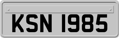 KSN1985