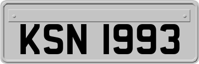 KSN1993