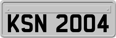 KSN2004