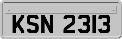 KSN2313
