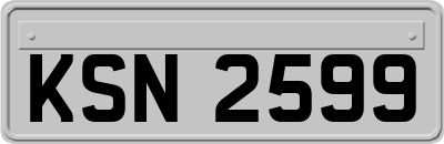 KSN2599