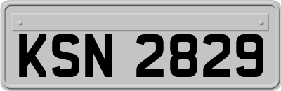 KSN2829