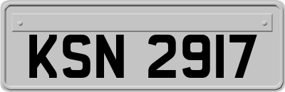 KSN2917