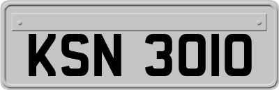 KSN3010
