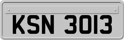 KSN3013