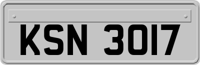 KSN3017