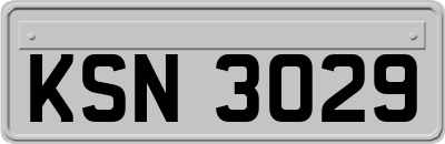 KSN3029
